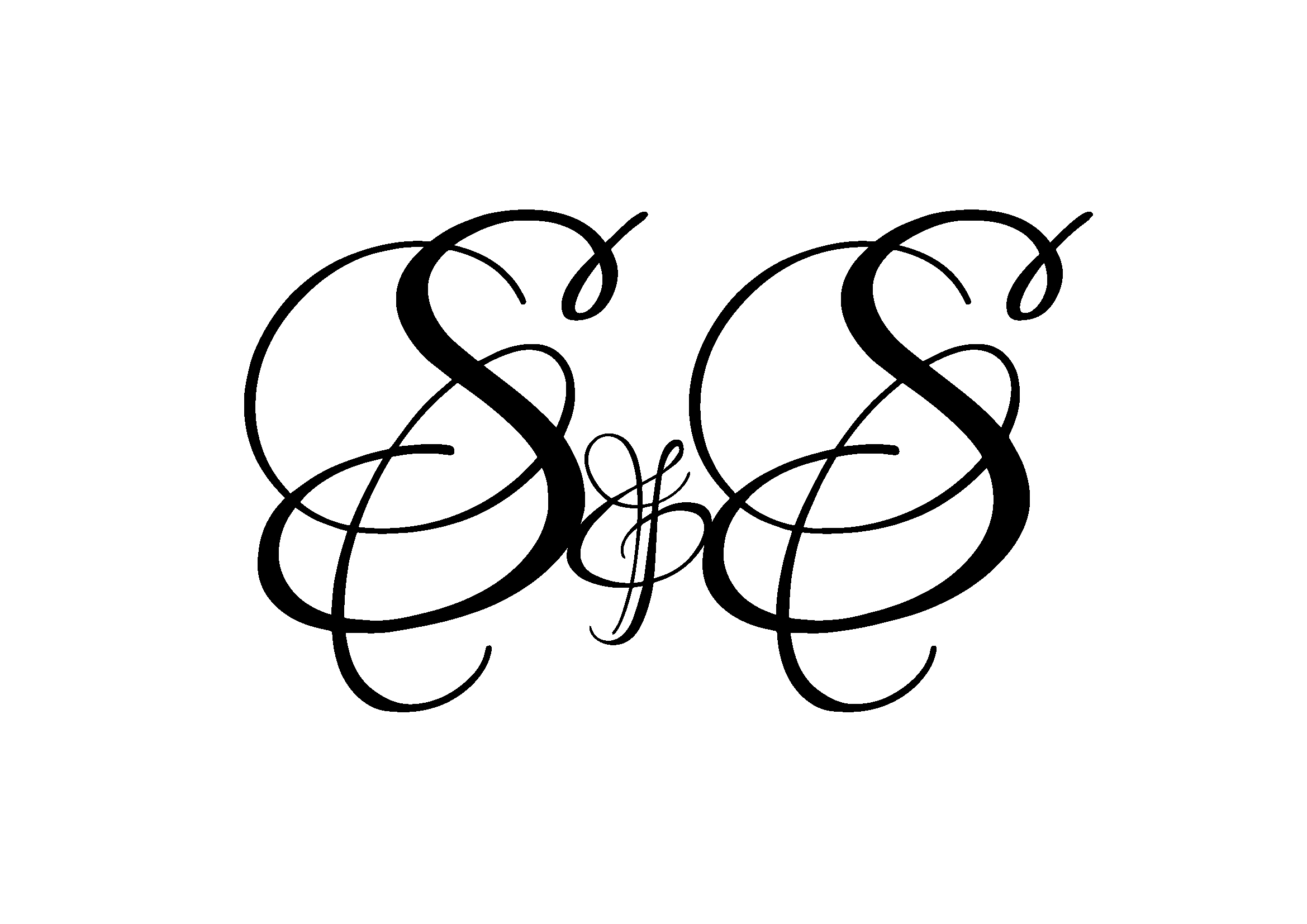 Sahar and Salvatore Wedding